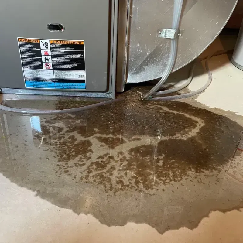 Appliance Leak Cleanup in Yuma County, AZ